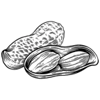 Nuts & Seeds
