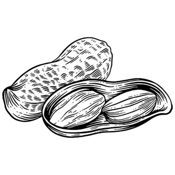 Nuts & Seeds