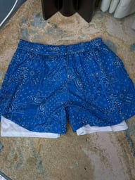 Blue Bandana Shorts — photo 2